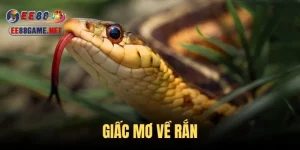 Giấc mơ về rắn