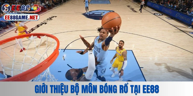 Giới thiệu bộ môn bóng rổ tại EE88
