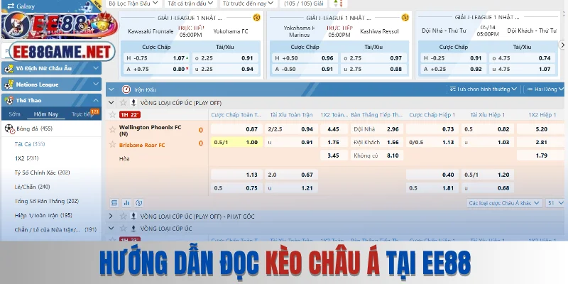Hướng dẫn đọc kèo châu Á tại EE88
