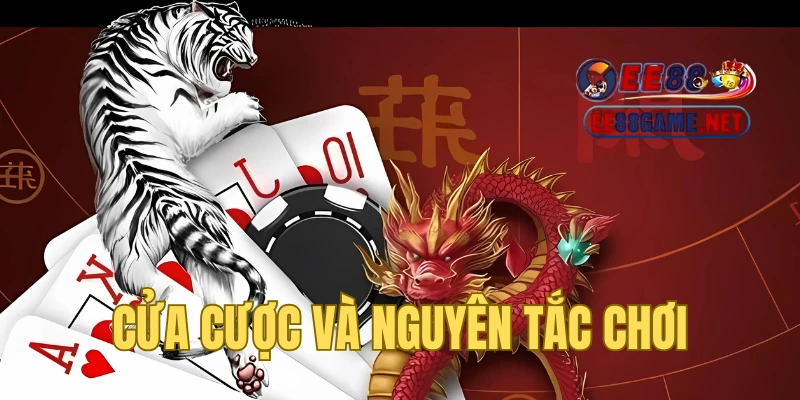 Nguyên tắc cần nắm của Dragon Tiger EE88