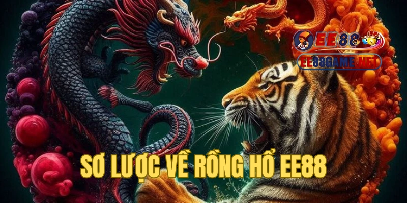 Sơ lược về Rồng Hổ EE88