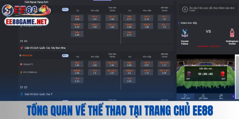 Tổng quan về chuyên mục giải trí thể thao đầy hấp dẫn